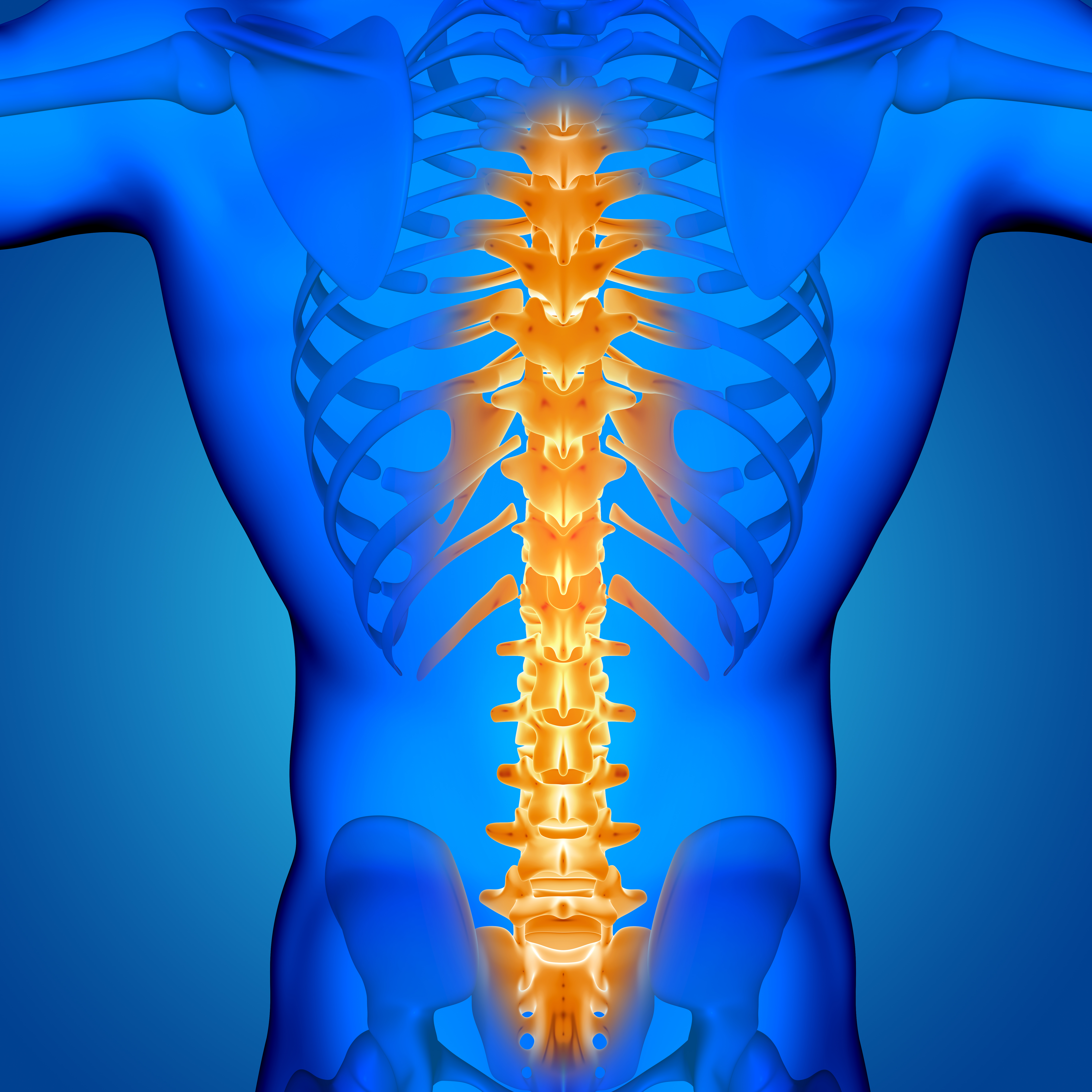 3d-male-medical-figure-with-spine-highlighted